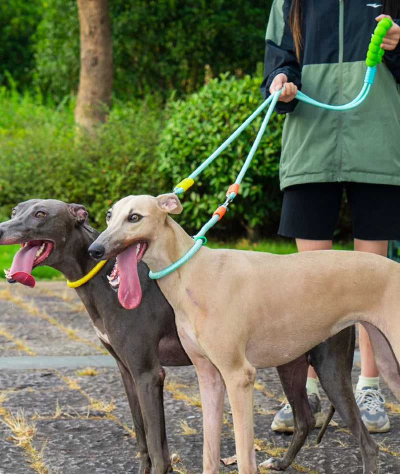 Double-End Leash for Two Dogs with Foam Handle
