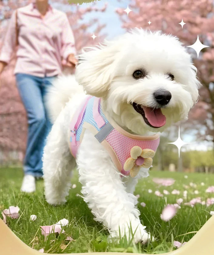 Breathable Dopamine-Color Dog & Cat Harness Vest Set