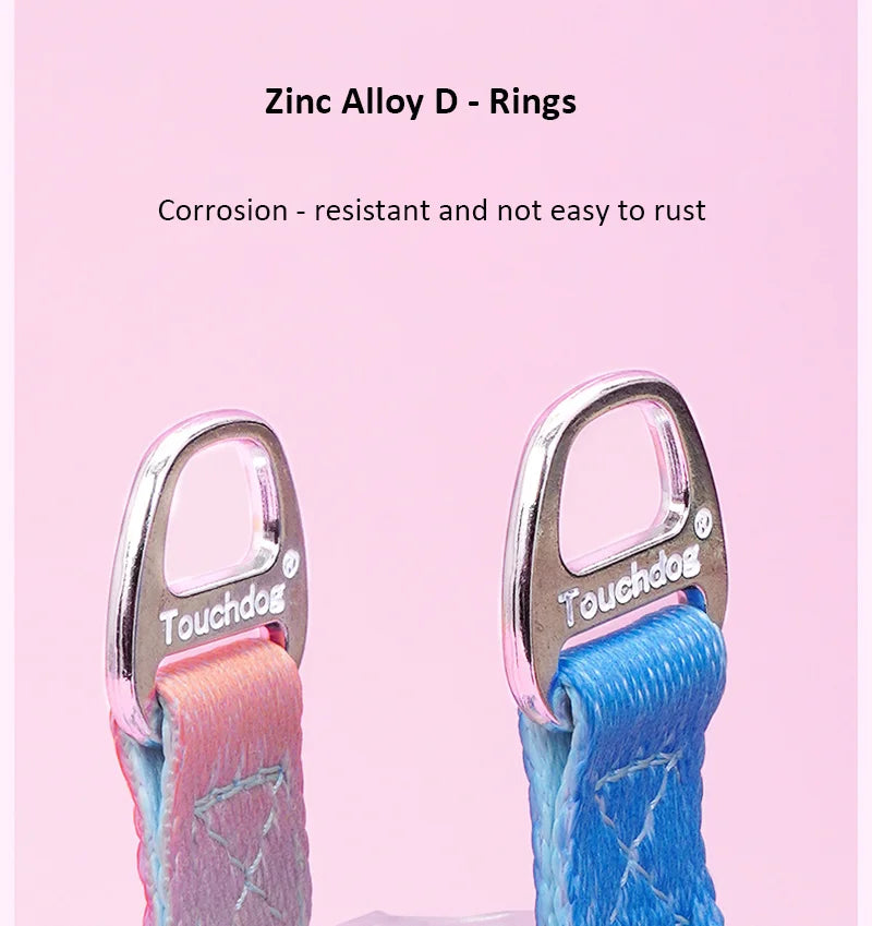 Y-Shaped Non-Choking Ombré Dog Harness & Leash Set