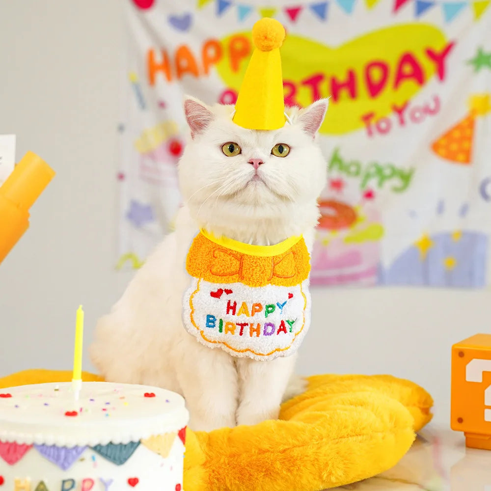 Pet Birthday Party Hat & Bib Set