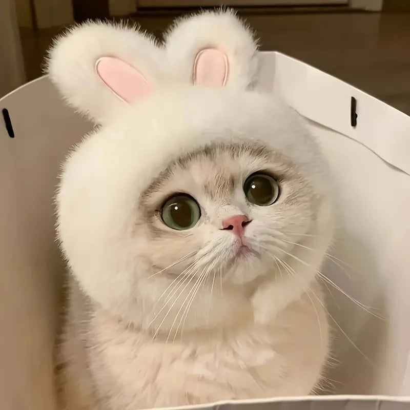 Rabbit Ear Cat Hat for Costume Photos