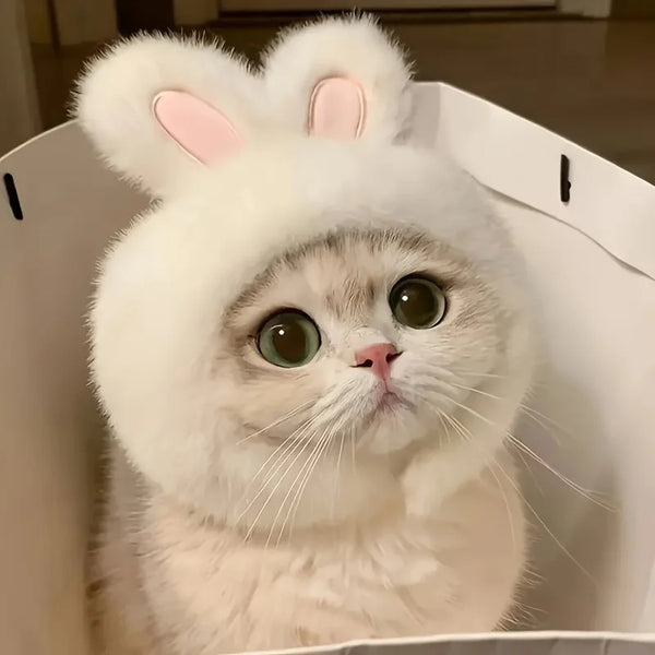 Rabbit Ear Cat Hat for Costume Photos