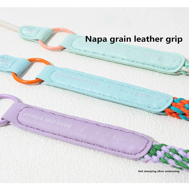 Durable Nylon Slip Training Leash & Collar for Dogs