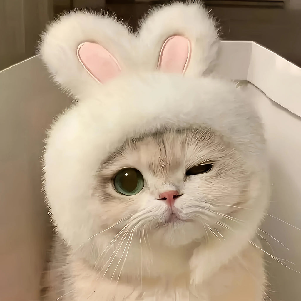Rabbit Ear Cat Hat for Costume Photos
