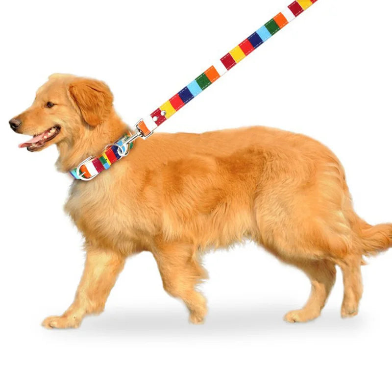 PU Leather Rainbow Collar & Canvas Leash Set
