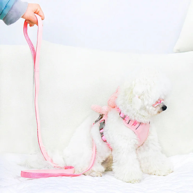 Reflective Pet Harness Vest & Leash Set for Small Dogs