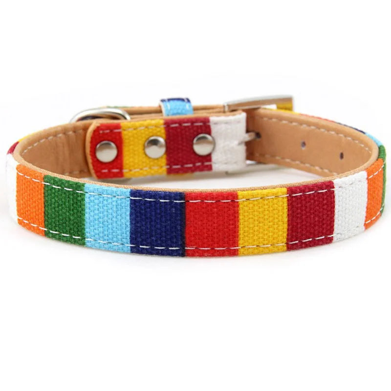 PU Leather Rainbow Collar & Canvas Leash Set