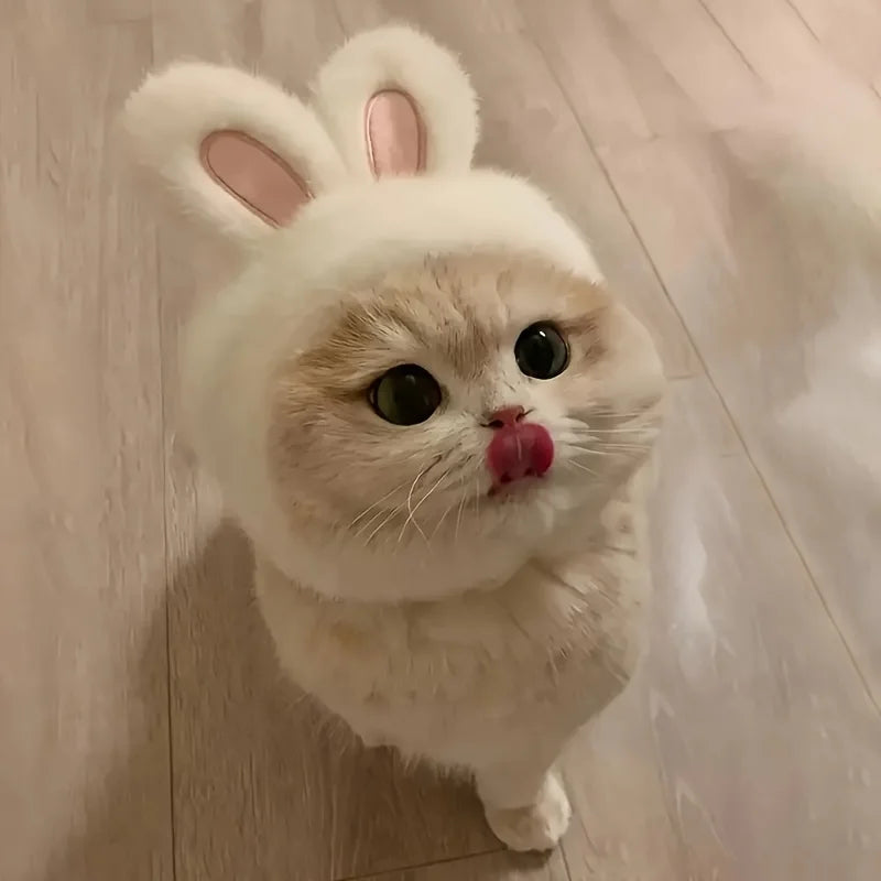 Rabbit Ear Cat Hat for Costume Photos