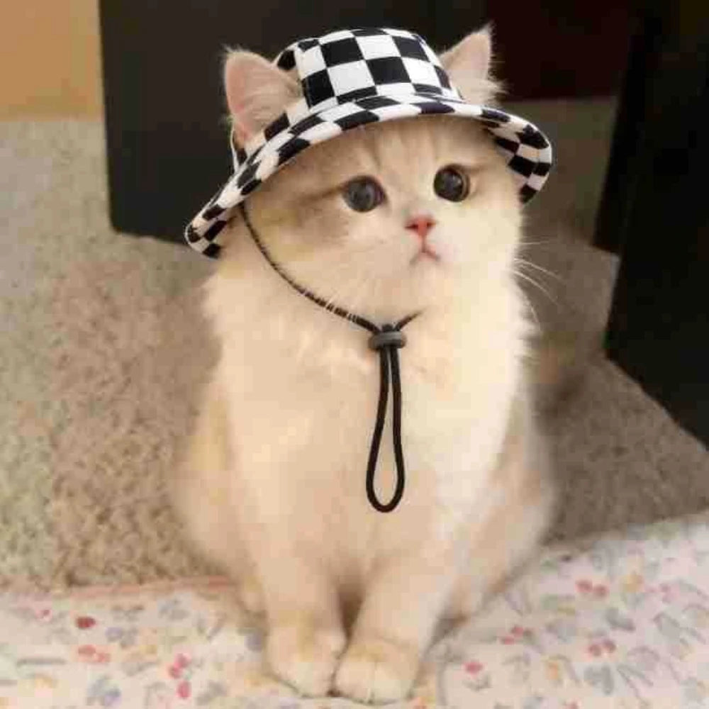 Adjustable Print Sun Hat for Small Dogs