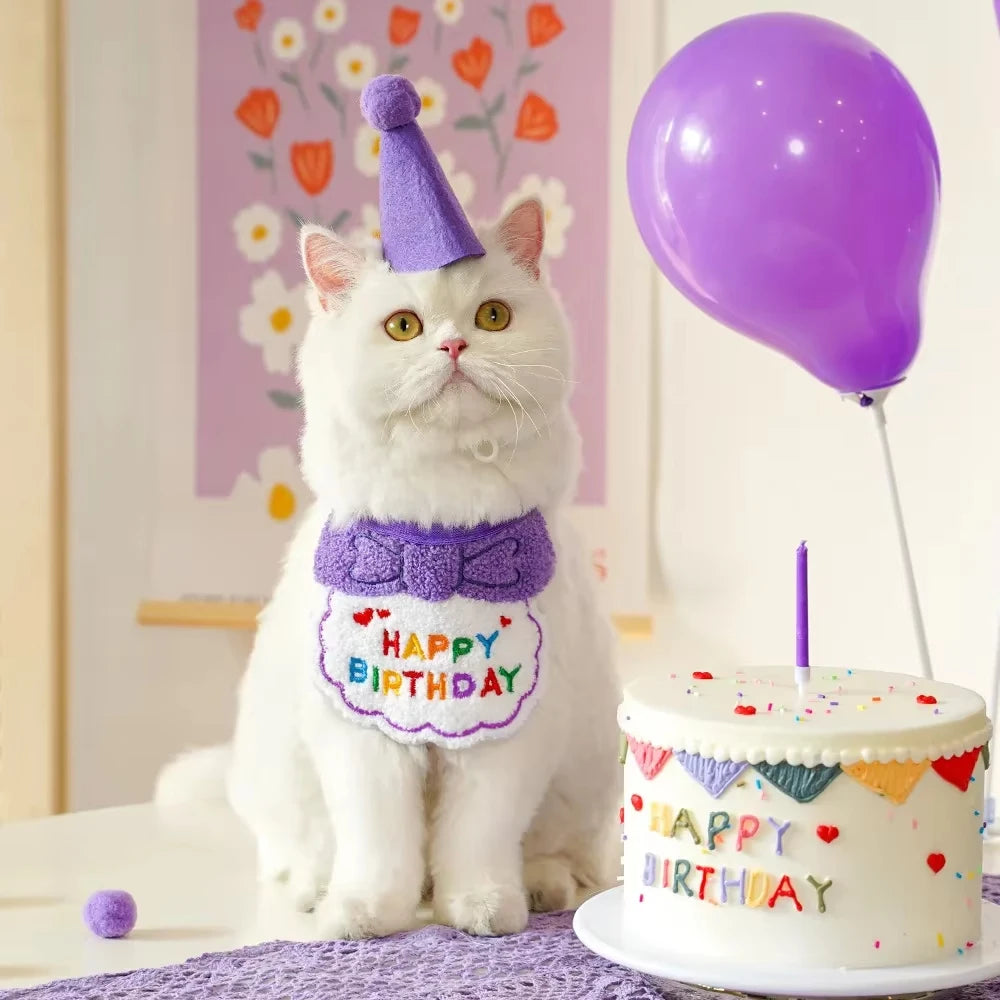 Pet Birthday Party Hat & Bib Set