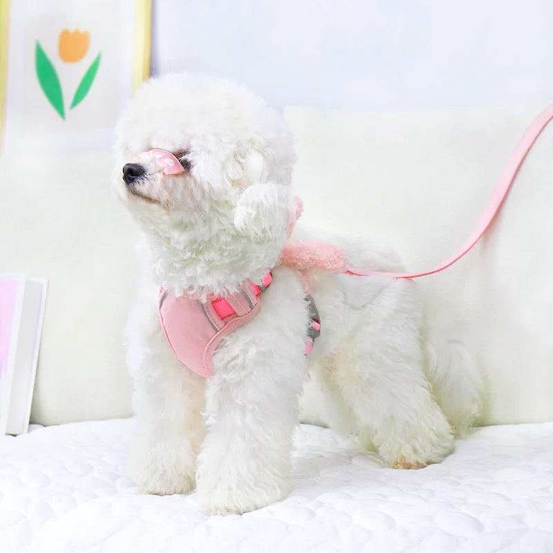 Reflective Pet Harness Vest & Leash Set for Small Dogs