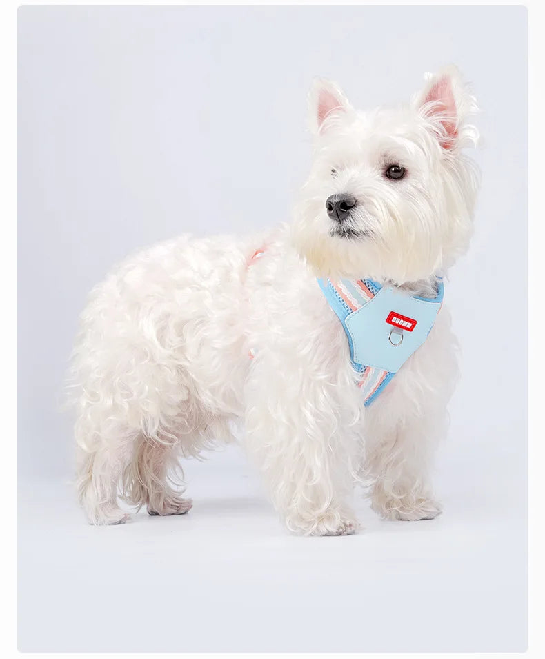 Dopamine Color Dog Harness & Leash Set for Outdoor Walks