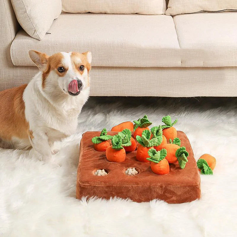 Carrot Snuffle Mat Puzzle Toy with 12 Carrots