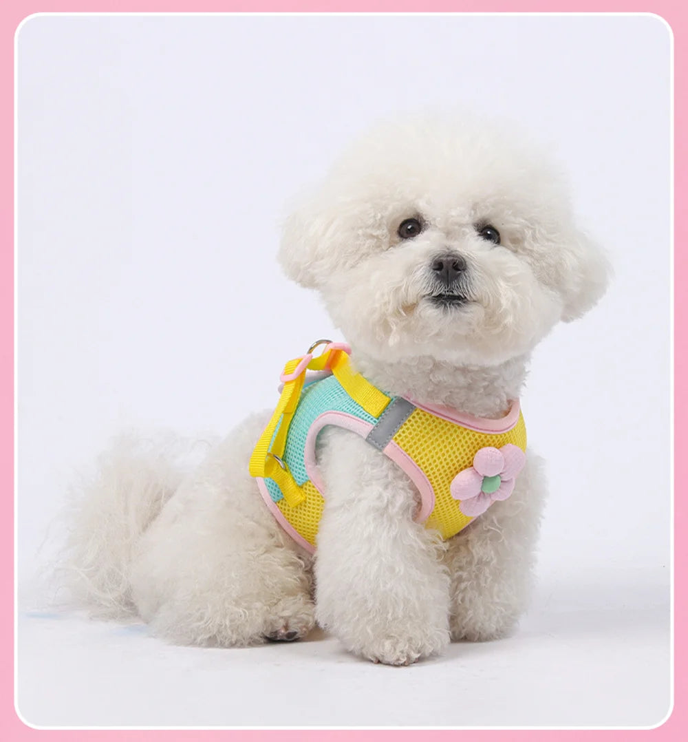 Breathable Dopamine-Color Dog & Cat Harness Vest Set