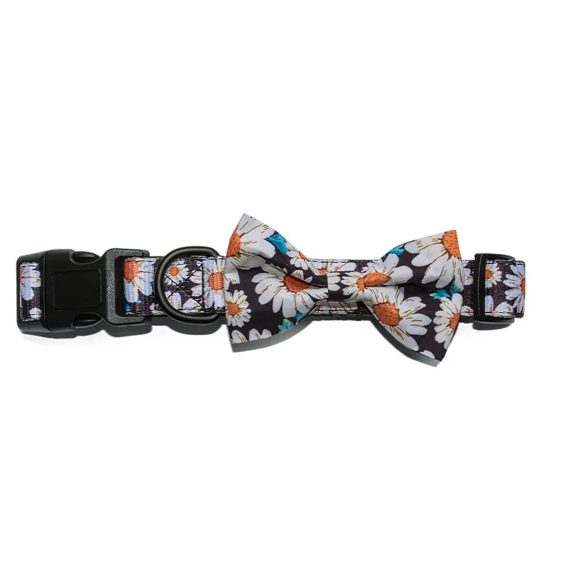 Complete Dog Collar, Leash & Bandana Set with Poop Bag Holder