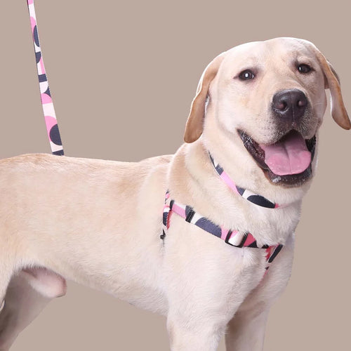 Abstract Patchwork Dog Harness, Collar & Leash Set