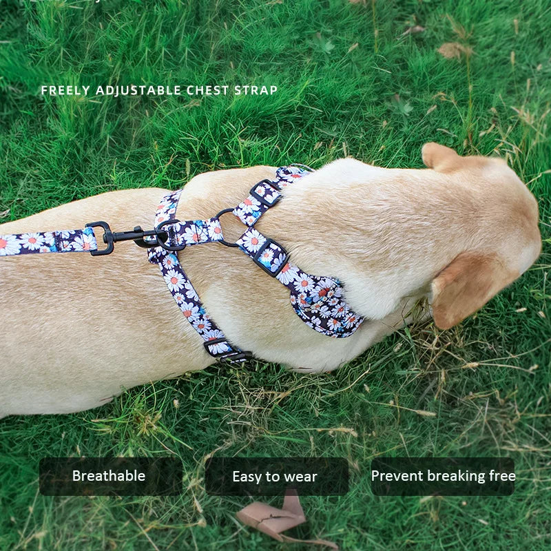 Complete Dog Collar, Leash & Bandana Set with Poop Bag Holder