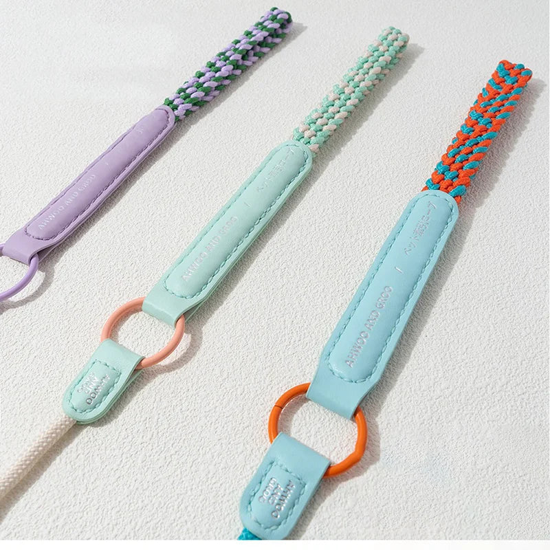 Durable Nylon Slip Training Leash & Collar for Dogs