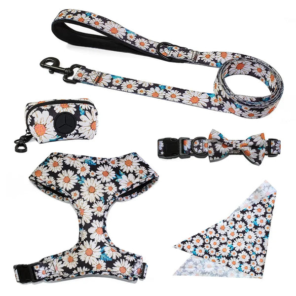 Complete Dog Collar, Leash & Bandana Set with Poop Bag Holder