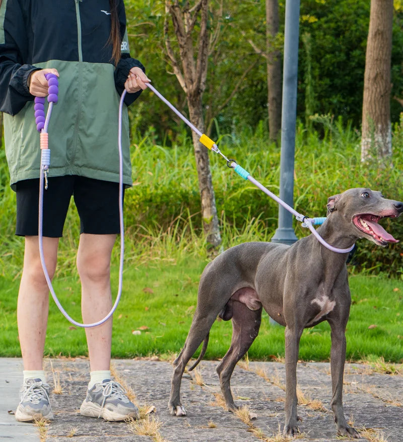 Double-End Leash for Two Dogs with Foam Handle