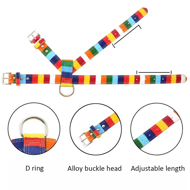 PU Leather Rainbow Collar & Canvas Leash Set