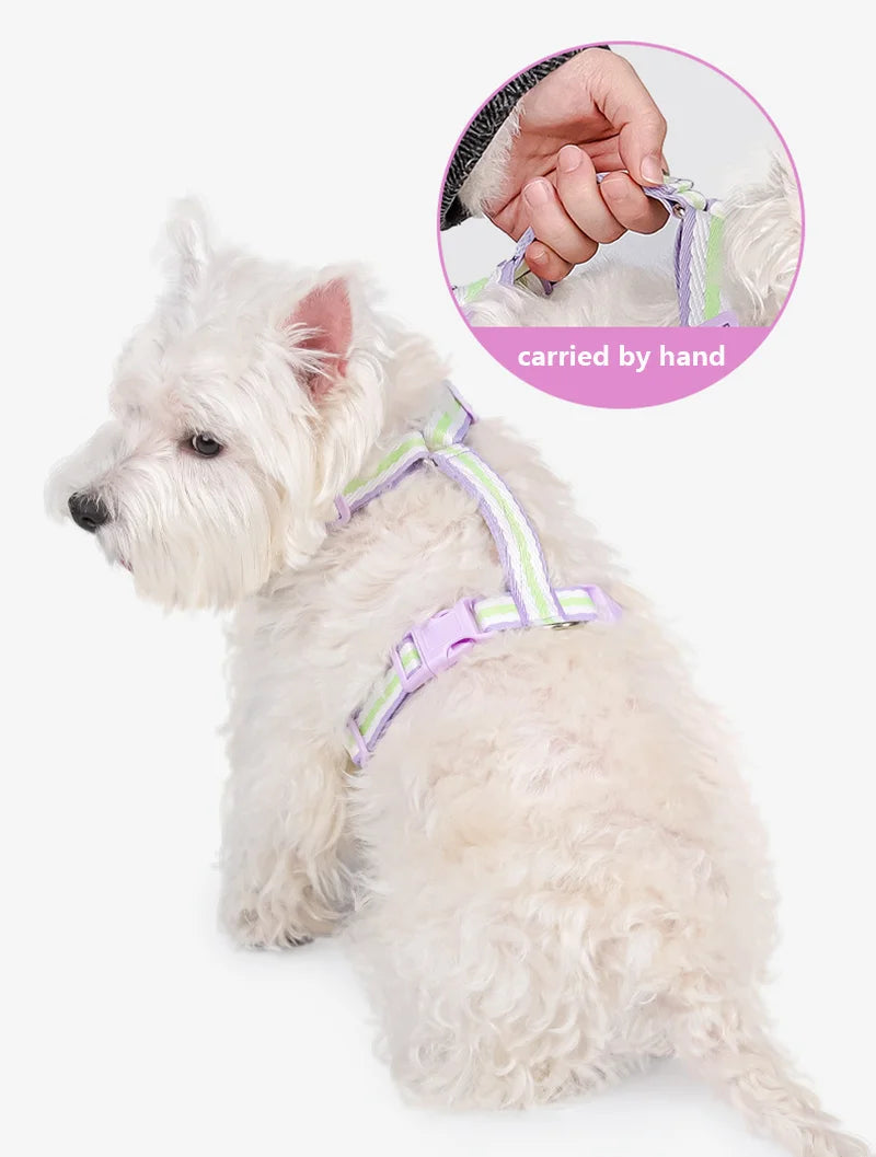 Dopamine Color Dog Harness & Leash Set for Outdoor Walks