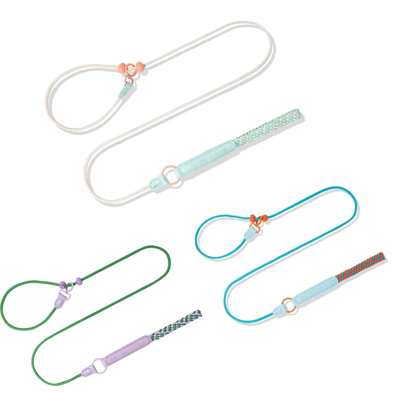 Durable Nylon Slip Training Leash & Collar for Dogs