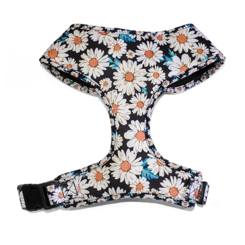 Complete Dog Collar, Leash & Bandana Set with Poop Bag Holder