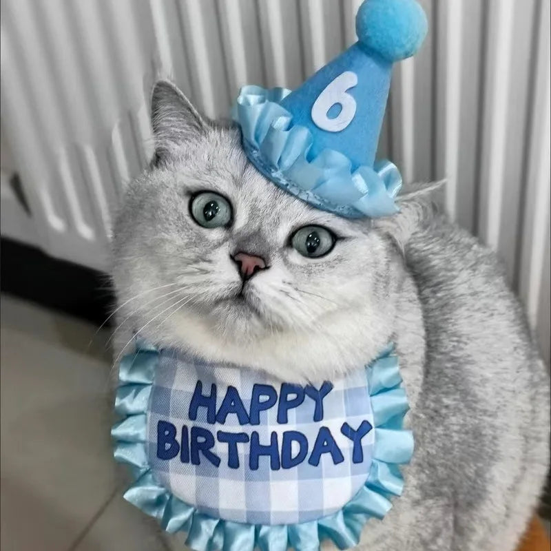 Cat Birthday Hat & Bib Costume Set