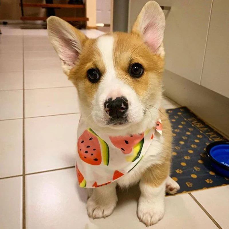 Cotton Triangle Bandana for Dogs & Cats