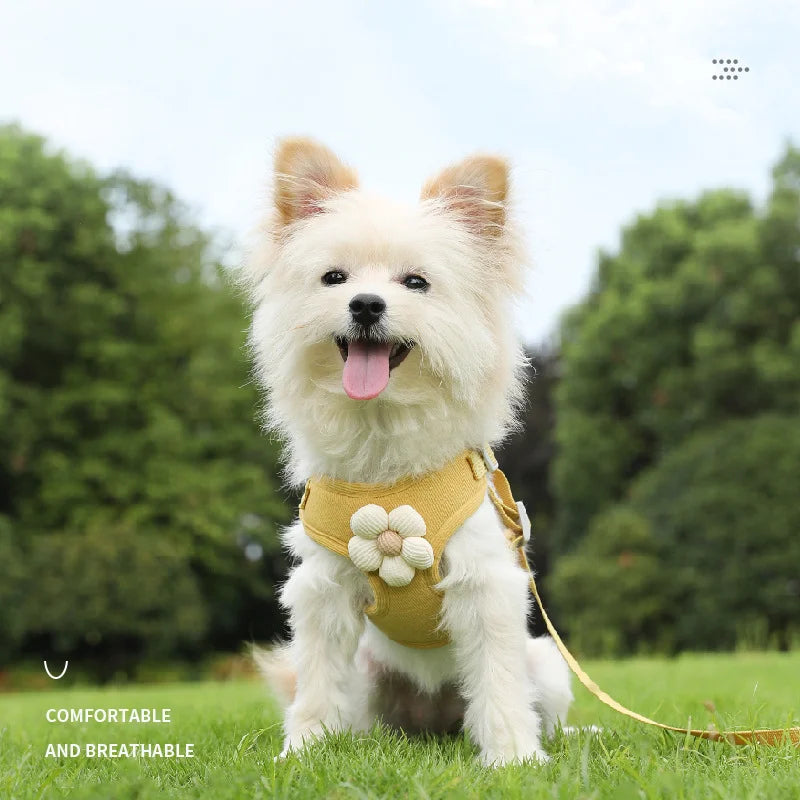 Flower Harness & Leash Set for Small Dog Breeds