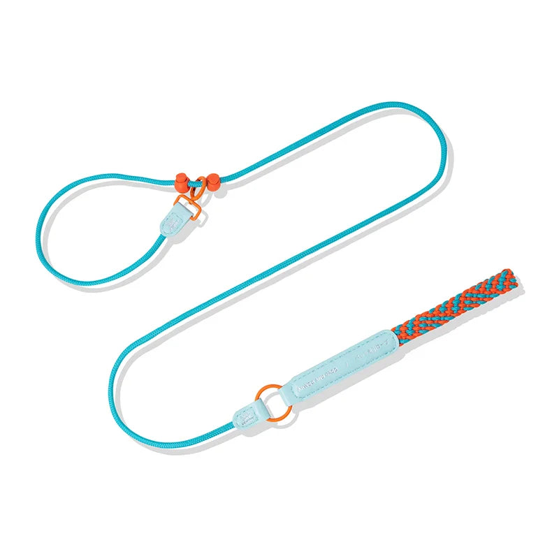 Durable Nylon Slip Training Leash & Collar for Dogs
