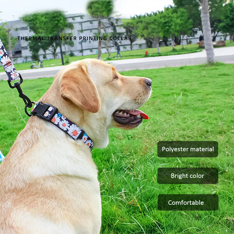 Complete Dog Collar, Leash & Bandana Set with Poop Bag Holder