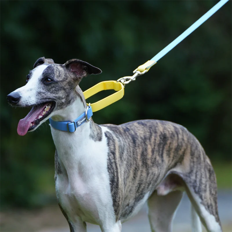 PVC Waterproof Semi-Telescopic Collar & Leash Set for Large Dogs