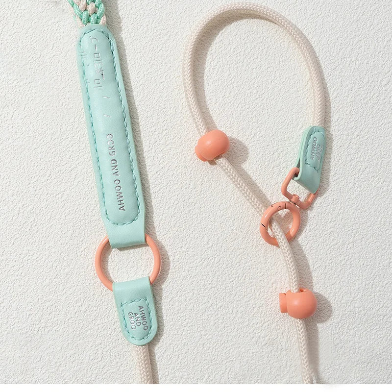Durable Nylon Slip Training Leash & Collar for Dogs