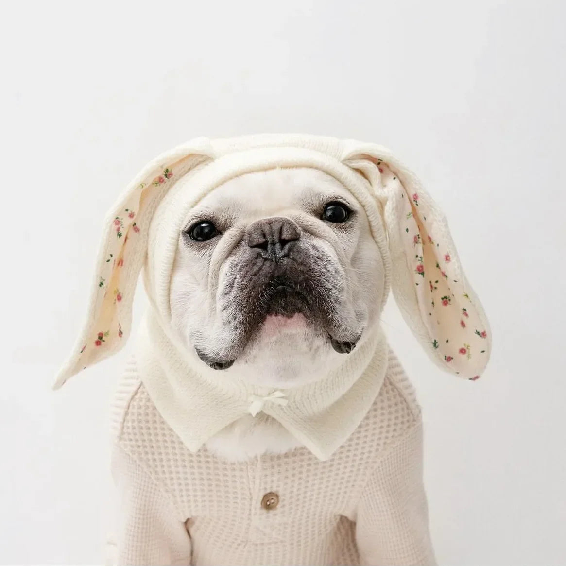 Cute Rabbit Ears Knitted Pet Hat for Autumn & Winter