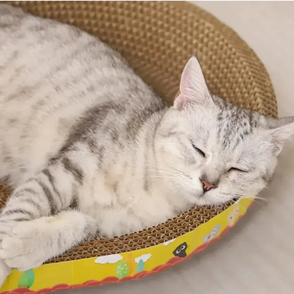 Oval Corrugated Cat Scratching Board & Nest