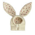 Cute Rabbit Ears Knitted Pet Hat for Autumn & Winter
