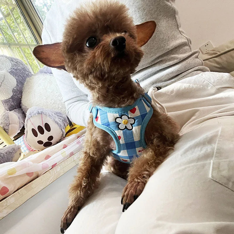 Floral Print Soft Padded Dog Vest Harness with Leash