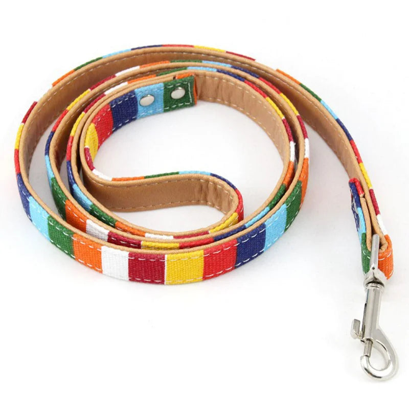 PU Leather Rainbow Collar & Canvas Leash Set