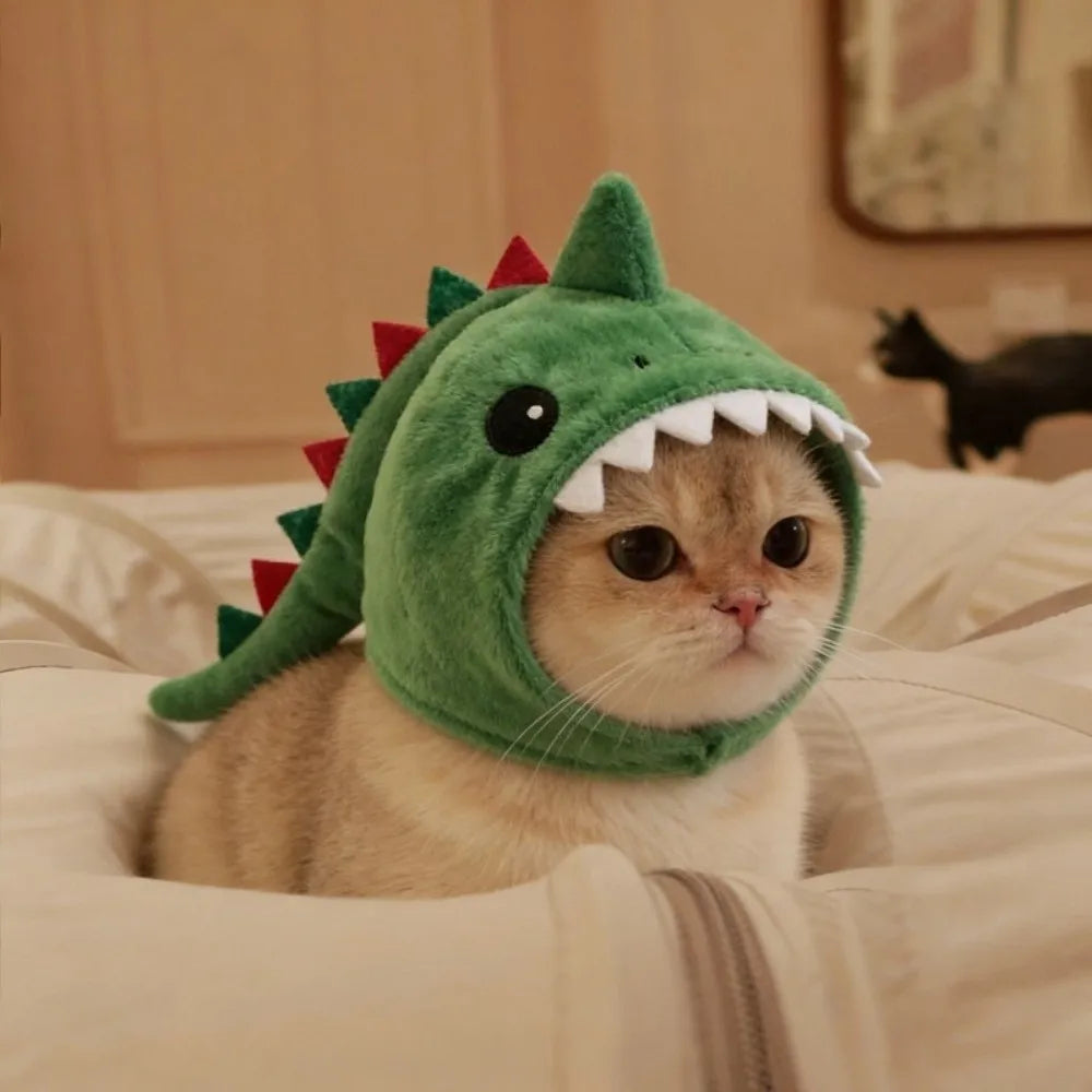 Cat wearing shark hat
