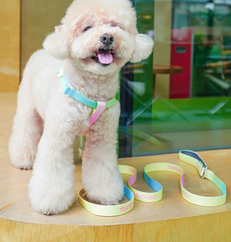 Y-Shaped Non-Choking Ombré Dog Harness & Leash Set