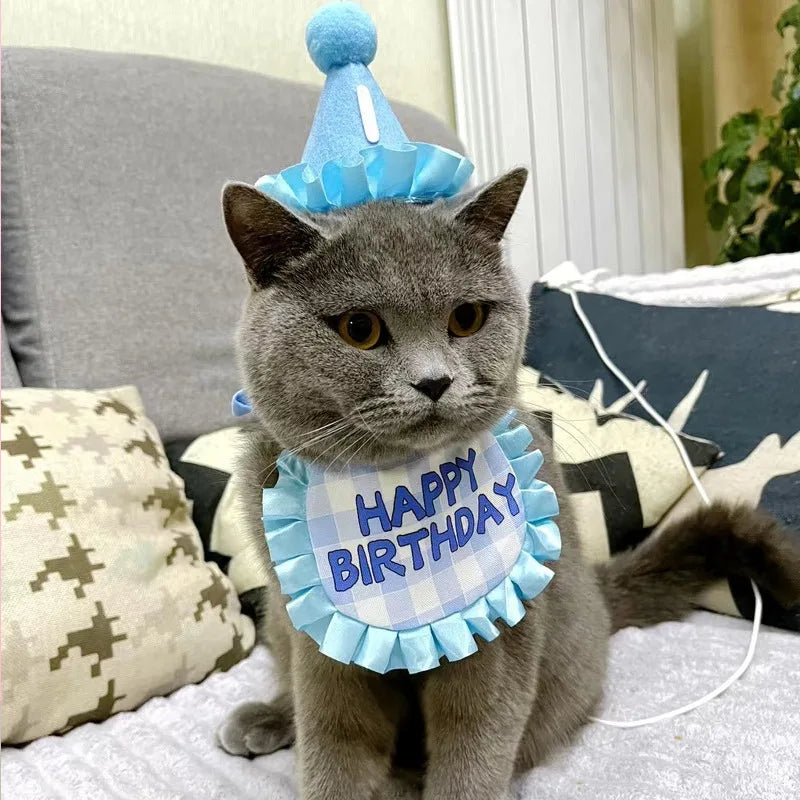Cat Birthday Hat & Bib Costume Set