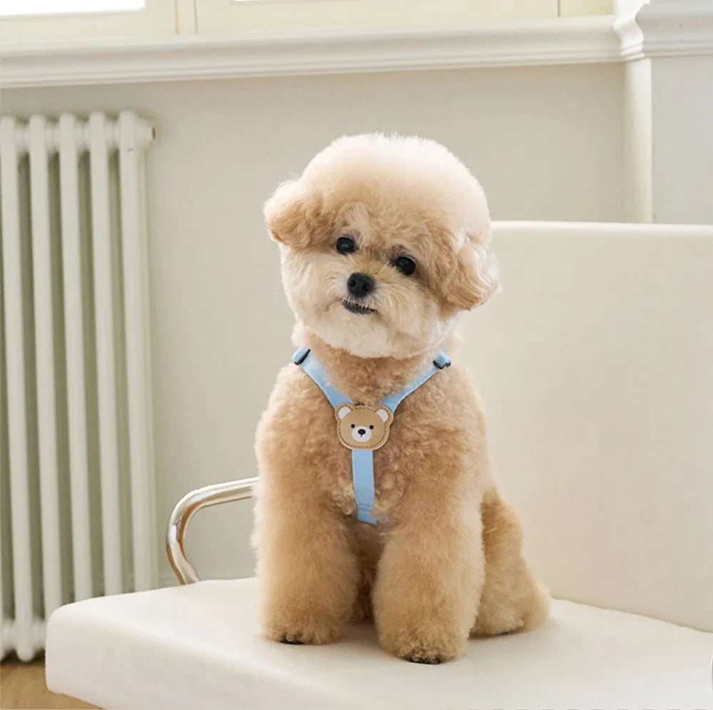 Escape-Proof Adjustable Dog Vest Harness & Leash Set