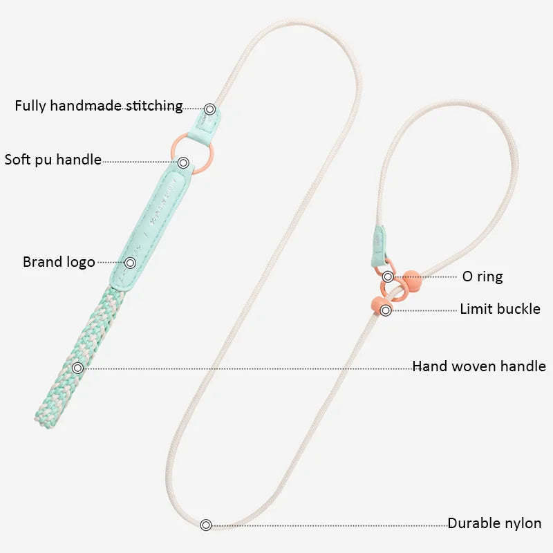 Durable Nylon Slip Training Leash & Collar for Dogs