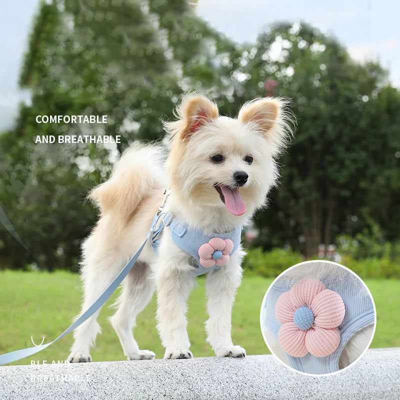 Flower Harness & Leash Set for Small Dog Breeds