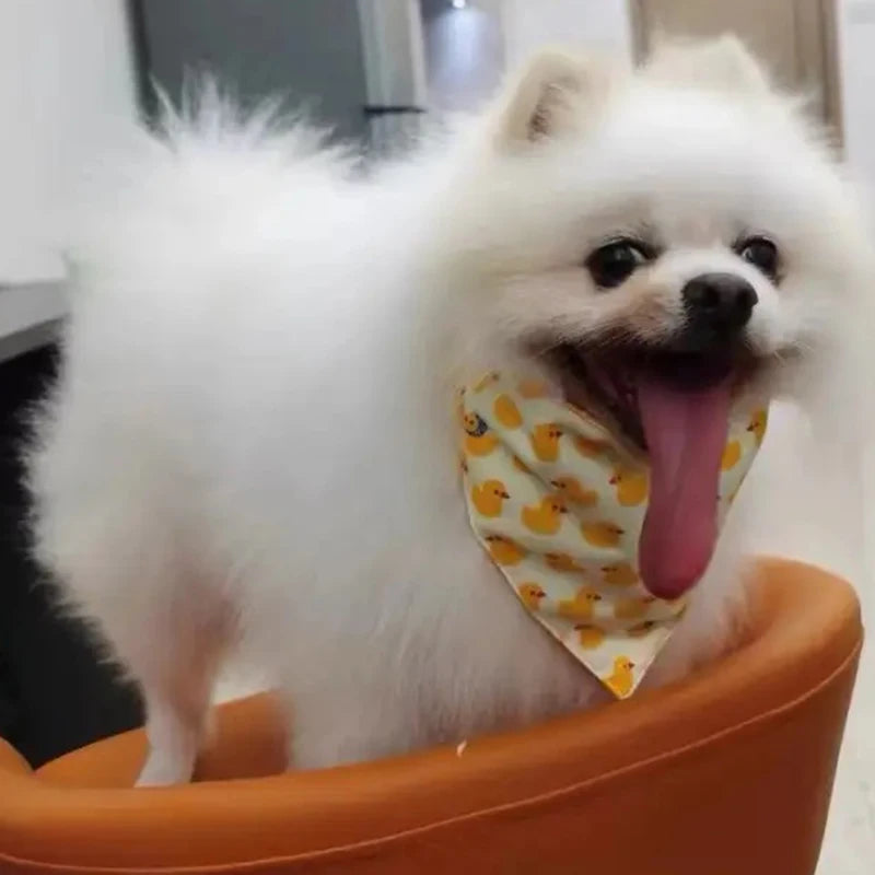 Cotton Triangle Bandana for Dogs & Cats