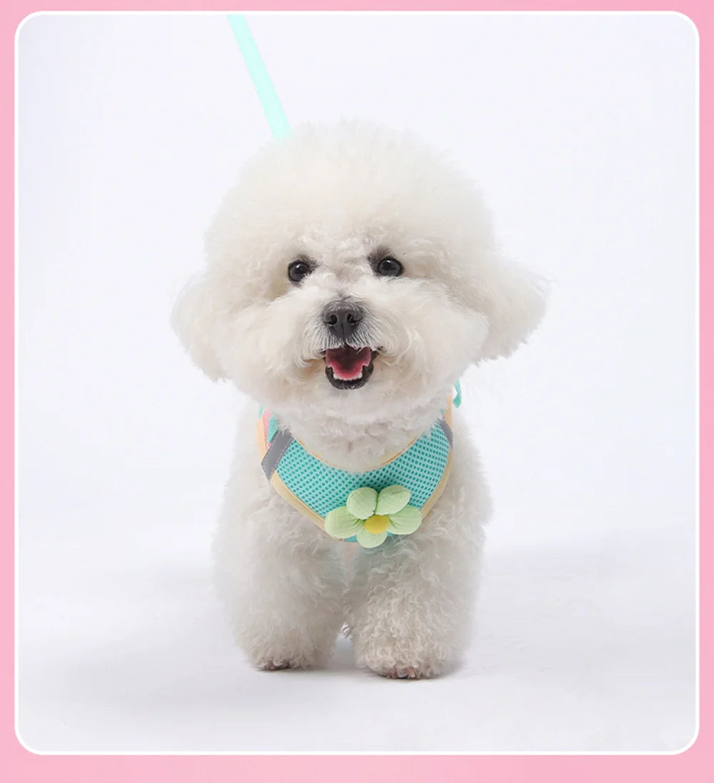 Breathable Dopamine-Color Dog & Cat Harness Vest Set