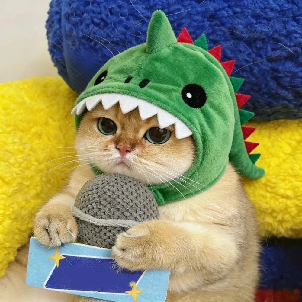 Cat wearing grey shark costume hat