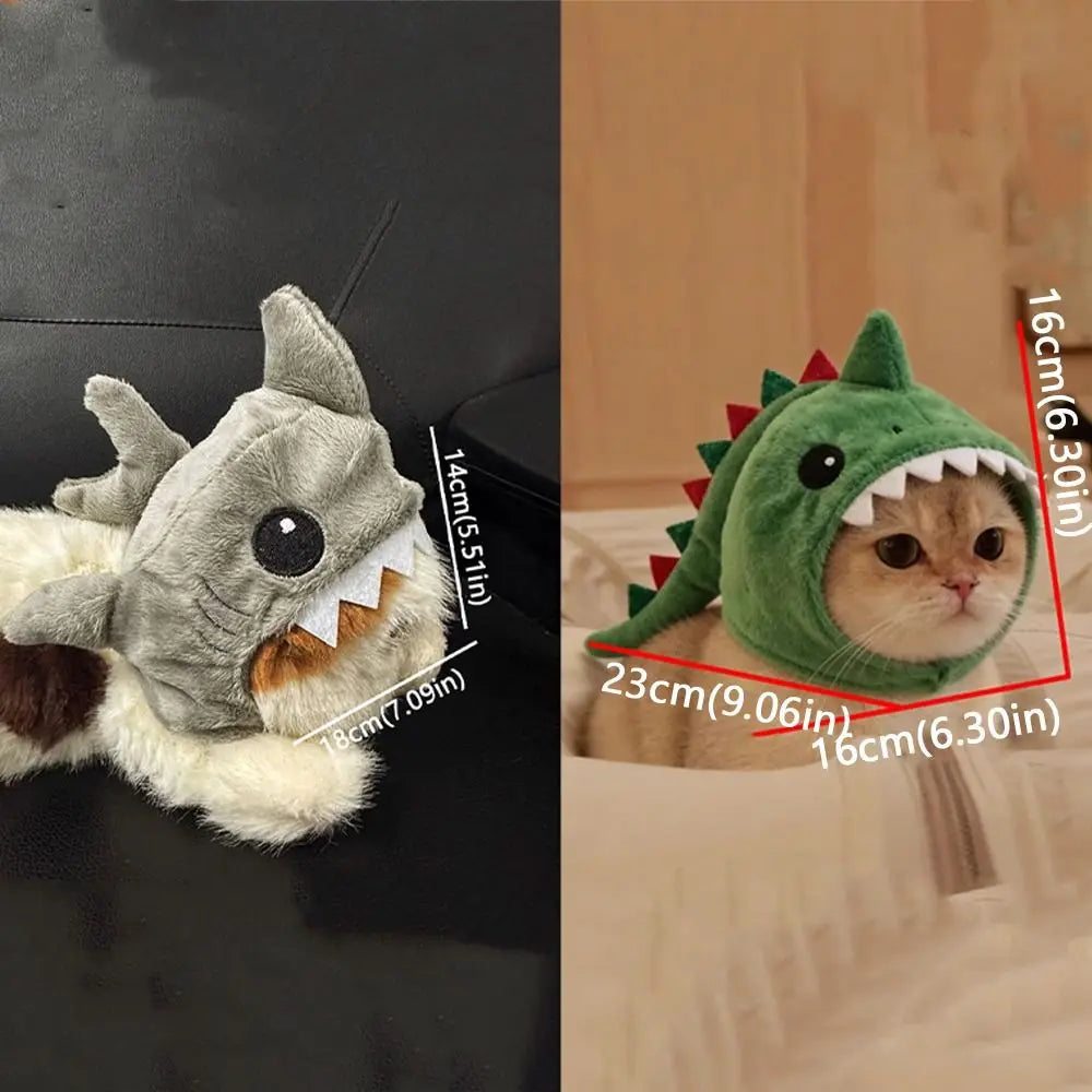 Cat shark hat lifestyle photo